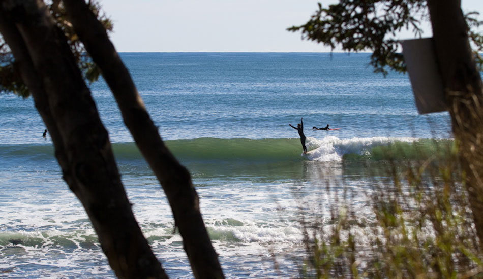 Dean Petty is a pretty strong longboarder. Photo: Zak Bush 