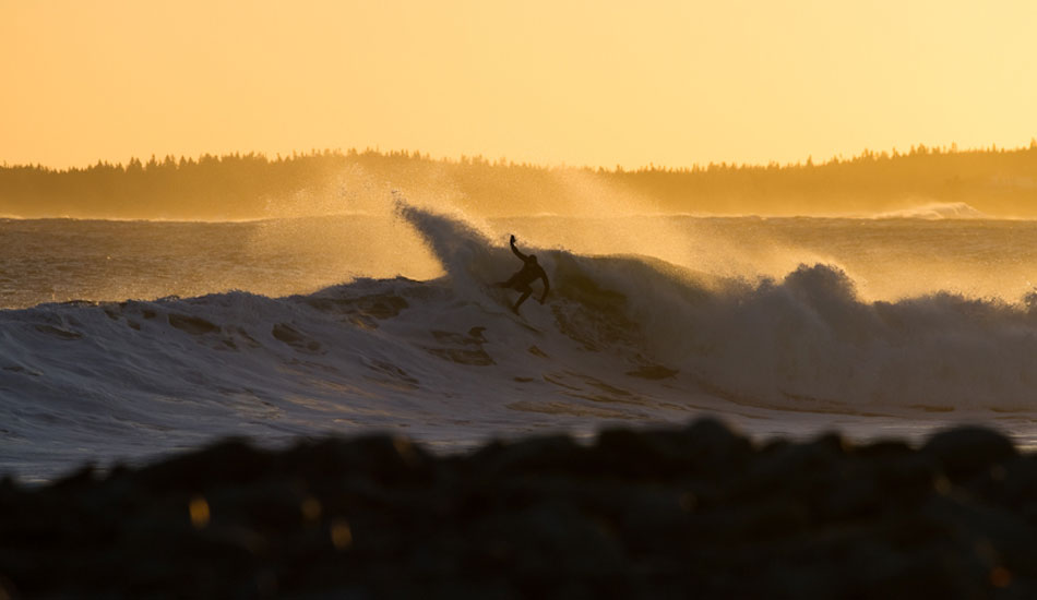 Dean Petty. Photo: Zak Bush