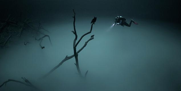 Freediving Mexico: The Surreal Reality | The Inertia