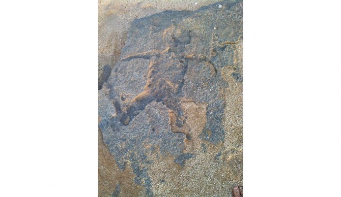 Huge Waves Uncover Hidden Hawaiian Petroglyphs | The Inertia