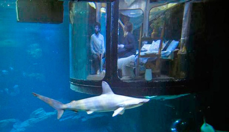 You Can Now Sleep With The Sharks By Renting This Underwater Airbnb