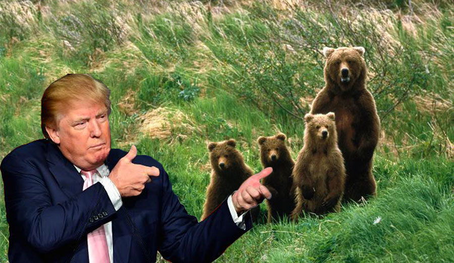 Donald Trump Is Getting Sued Over Repeal of Wildlife Protection Rule ...