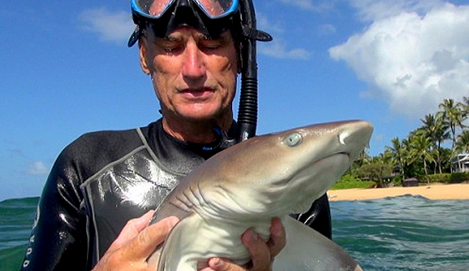 Известные океанологи. Marine biologist. Interview with Marine biologist. Marine biologist meme. Marine biologist takes his job too seriously.