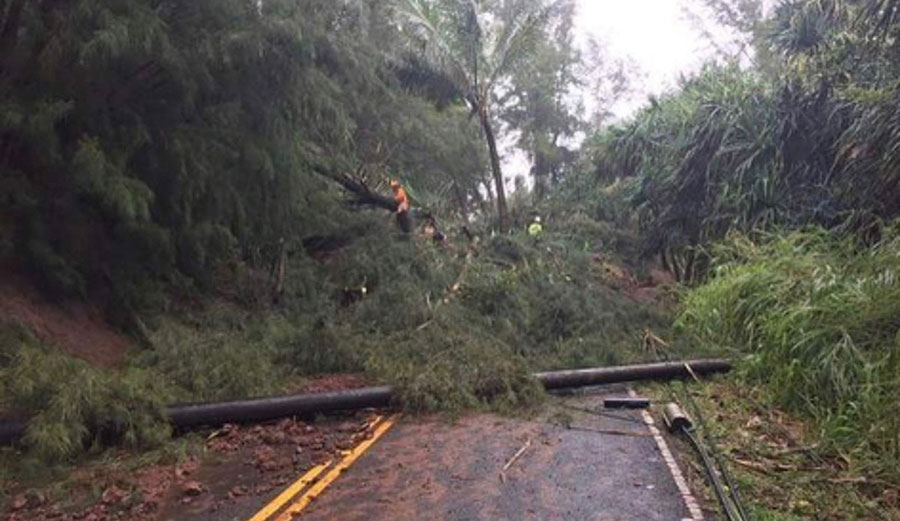 Mudslides buried roads and trees are down all over the island. Photo: GoFundMe