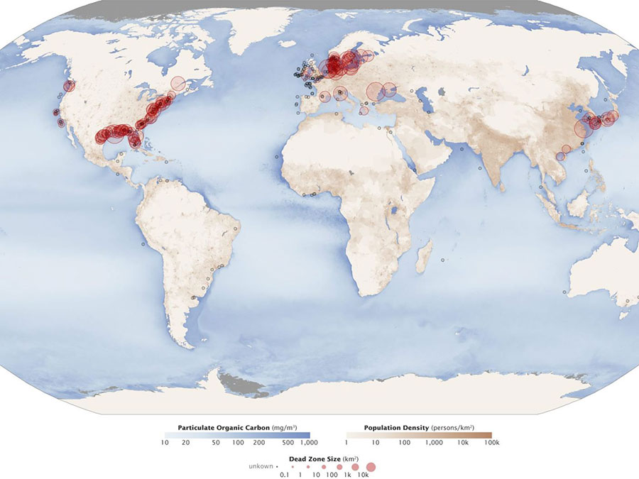 Dead zones around the world. Image: Robert Simmon & Jesse Allen / NA