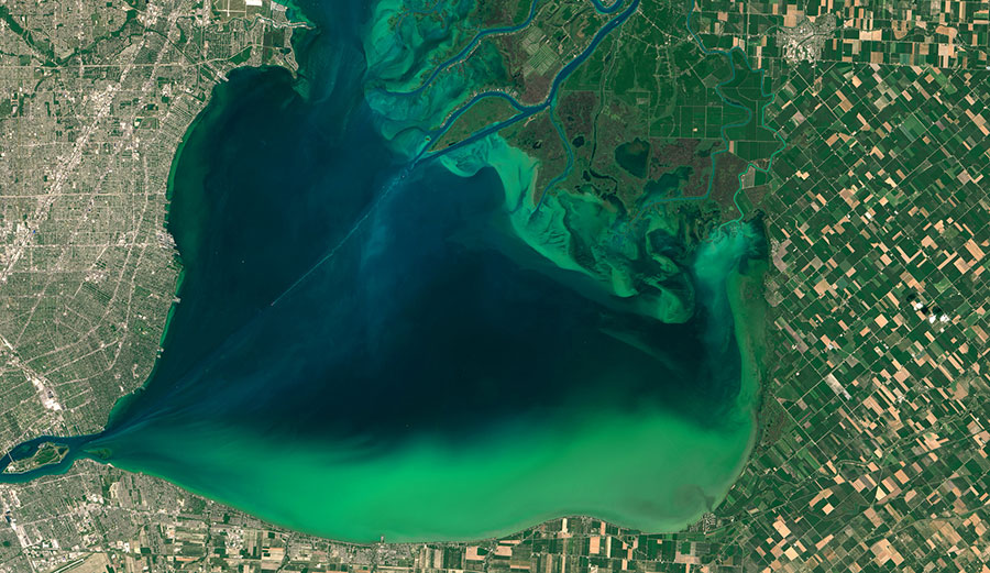 Blooms of algae, like this growth in 2015 in Lake St. Clair between Michigan and Ontario, promote the formation of dead zones. Image: NASA Earth Observatory, CC BY