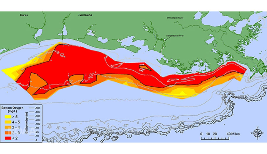 A massive dead zone forms in the Gulf of Mexico every year, fed by farm runoff that washes down the Mississippi River. EPA