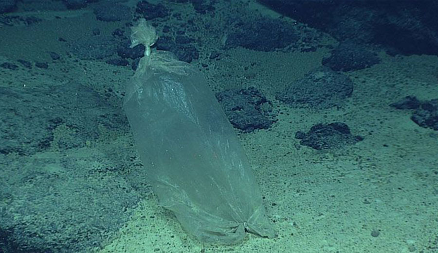 Plastic ice bag found by a NOAA expedition to the Marianas in 2016. Image: NOAA Office of Ocean Exploration and Research