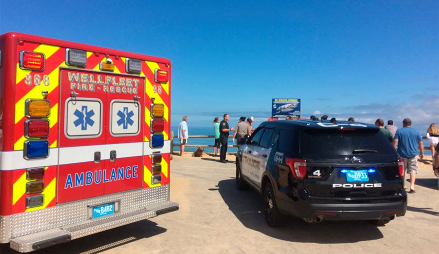 Bodyboarder dies in shark attack