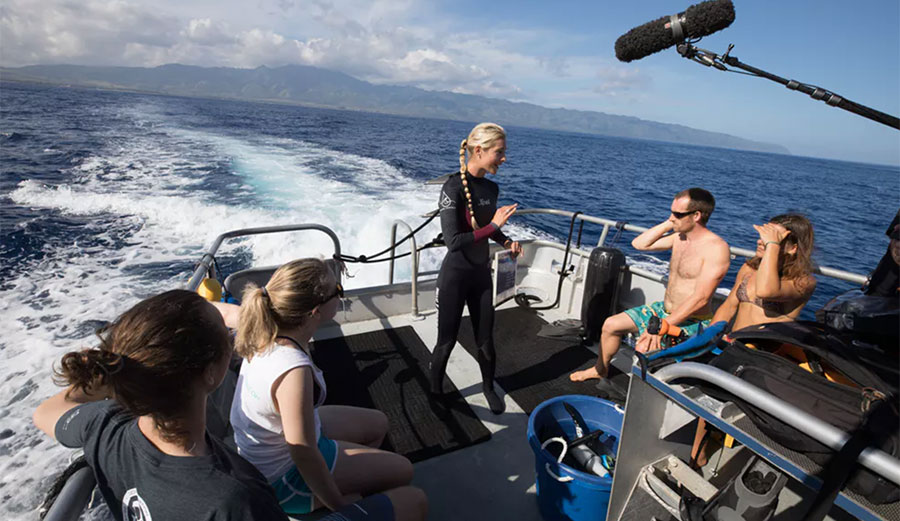 Ocean Ramsay with sharks