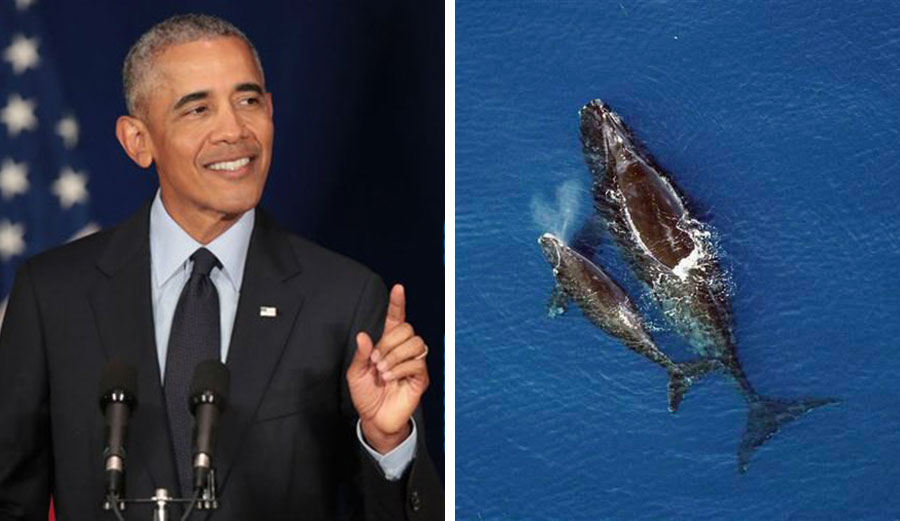 Barack Obama national marine monument