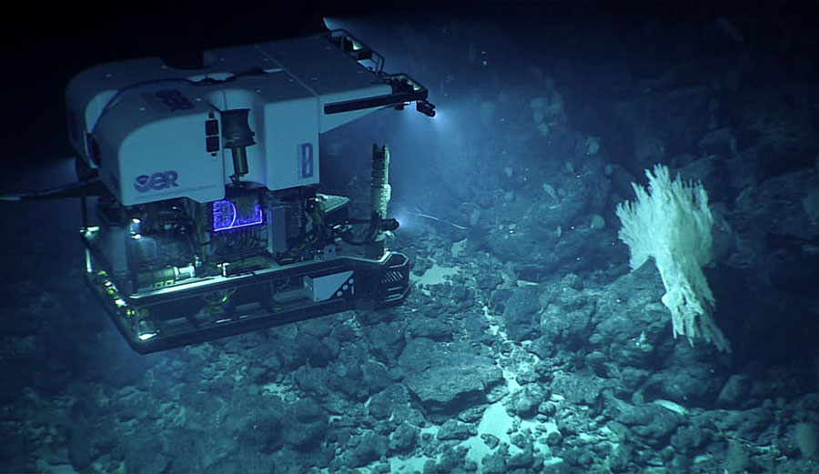 NOAA ROV Deep Discoverer