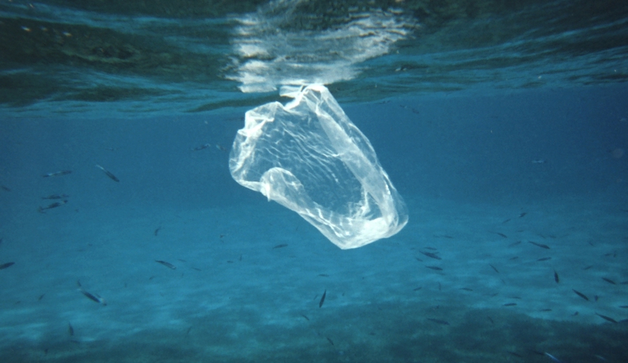 The 2018 Statistic of the Year is 90.5 percent. It's the share of plastic in our world that's never been recycled and is taking its toll on the environment. Photo: NOAA