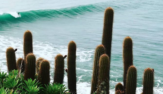 surfing, surf trip, chile, punta de lobos, patagonia,