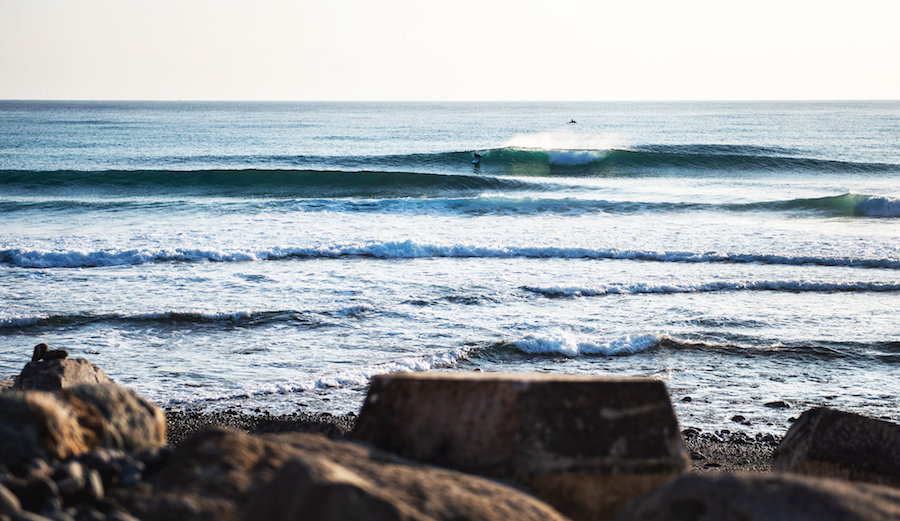 Jinzun Harbour Taiwan, WSL