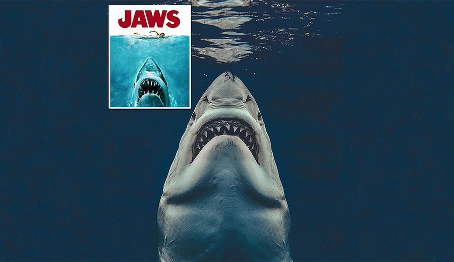 British Photographer Recreates 'Jaws' Poster With Perfectly Timed Photo ...