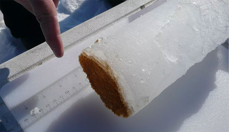 Ice core from Arctic