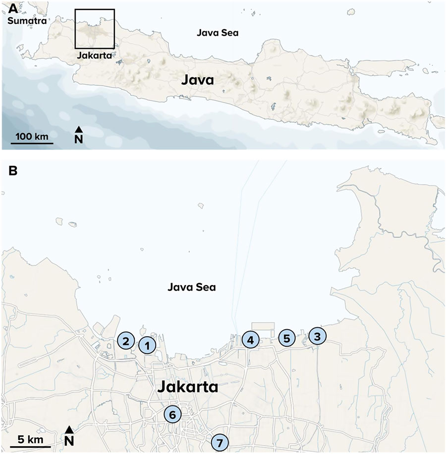 Java, Jakarta and the Java Sea