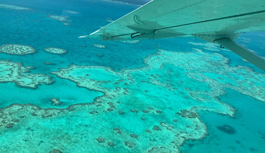 Things are not looking good for the Great Barrier Reef. 