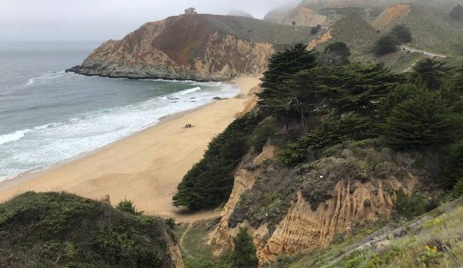 A shark just attacked a surfer at grey whal cove state beach