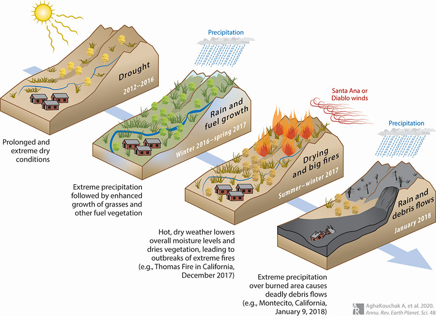 cascading effects of climate change