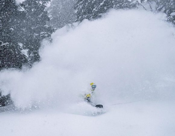 Mammoth Mountain Powder