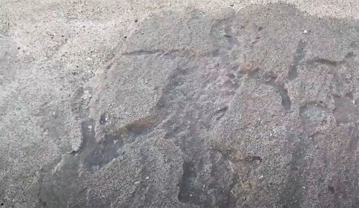 Ancient Petroglyphs Exposed by Huge Surf on the North Shore