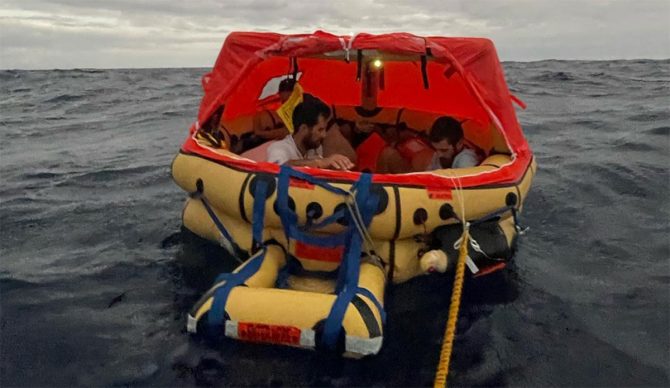 sailboat sinks after hitting whale