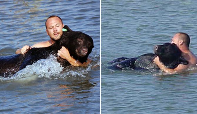 It's True: A Florida Man Saved a Drugged-Up Black Bear From Drowning