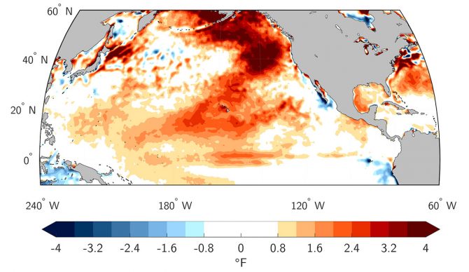 Fierce marine heat waves like this one in 2019