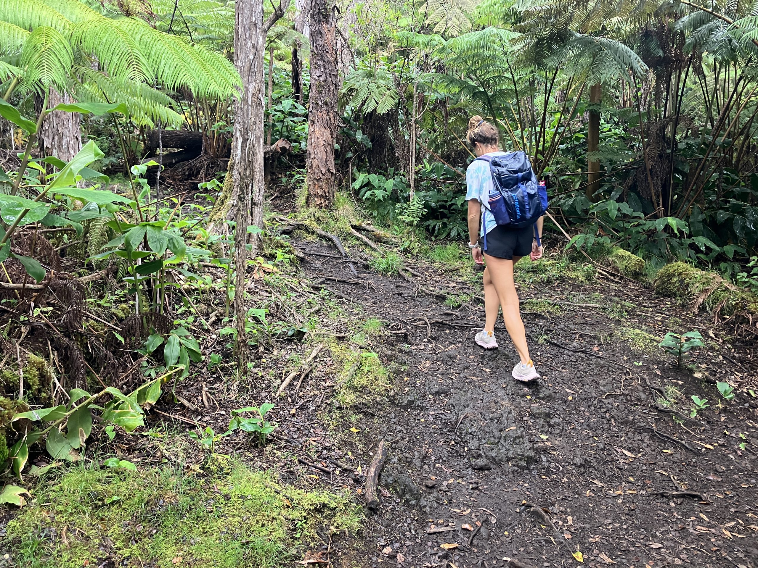 hiking in hiking shoes