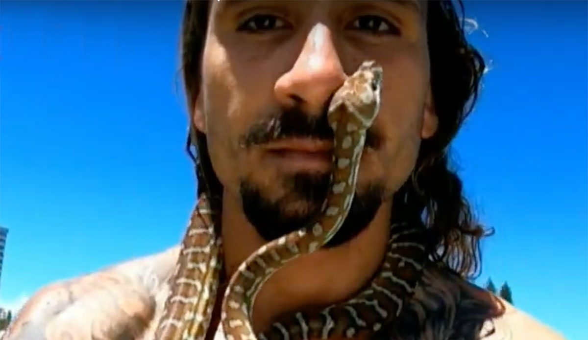 The Gold Coast Guy Who Takes His Pet Python Surfing Has Been Hit With a ...