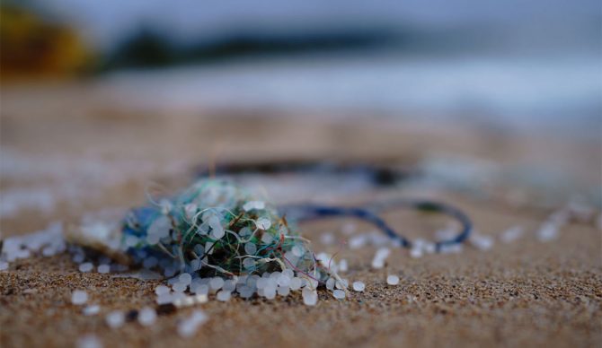 sponge that absorbs microplastics