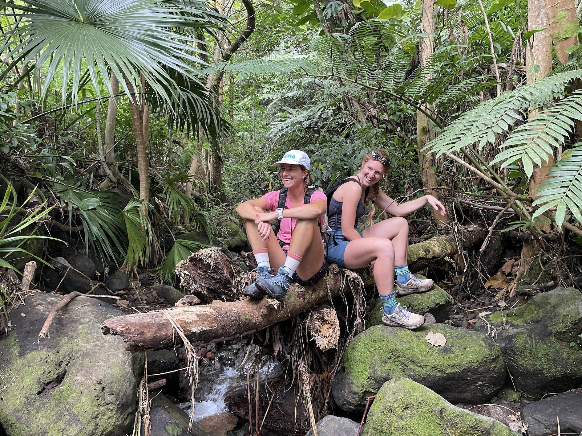 Two women sit on a log in a dense forest