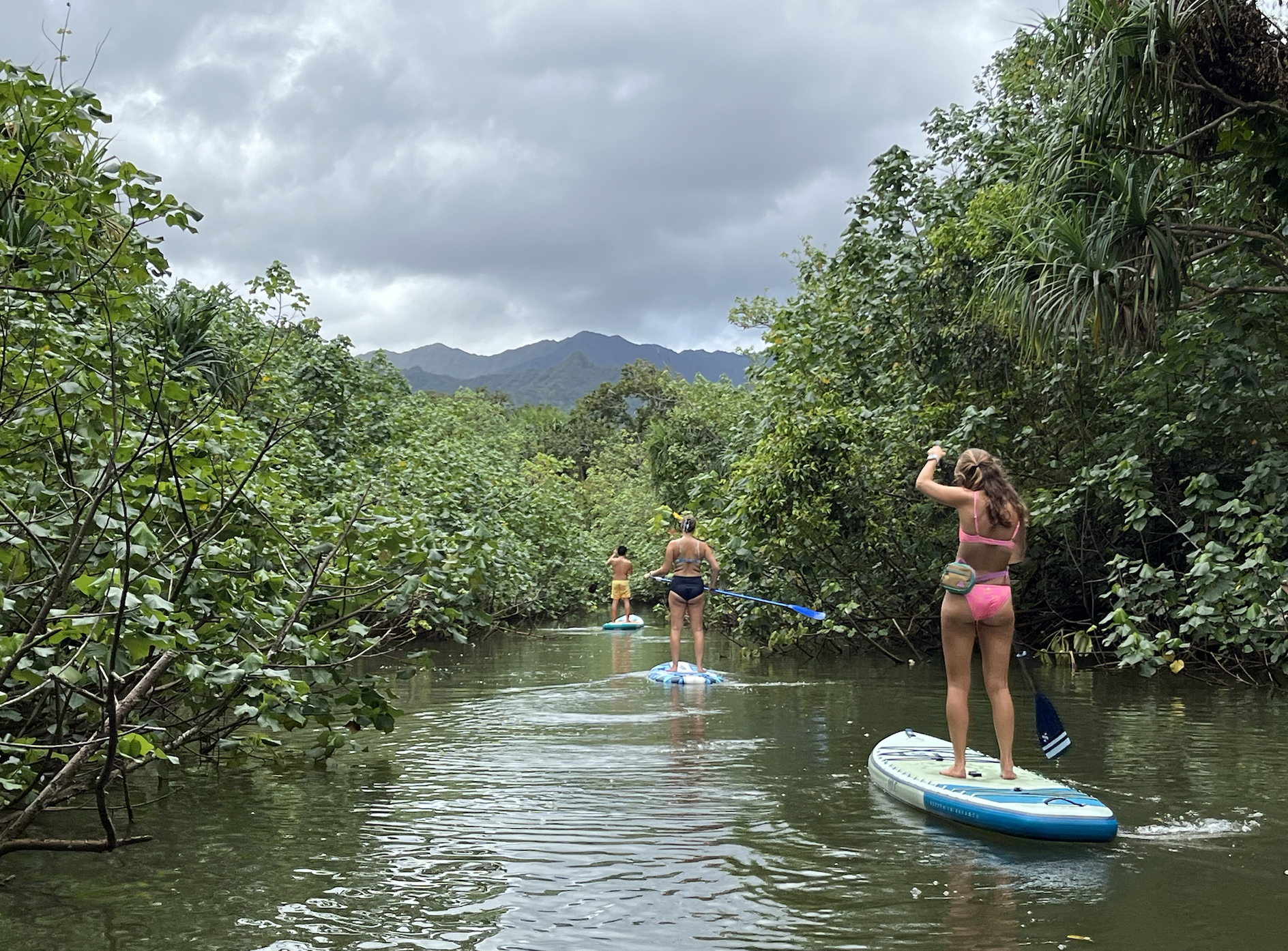 people stand up paddling on a lagoon 