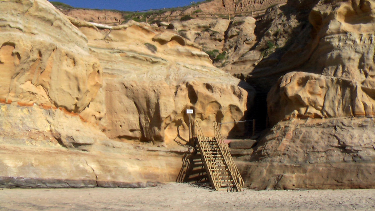 Torrey Pines State Reserve. Photo: Rick McCharles