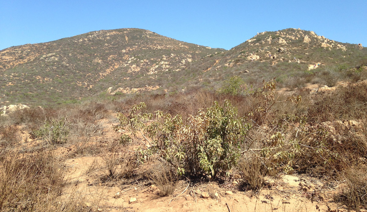 Cowles Mountain