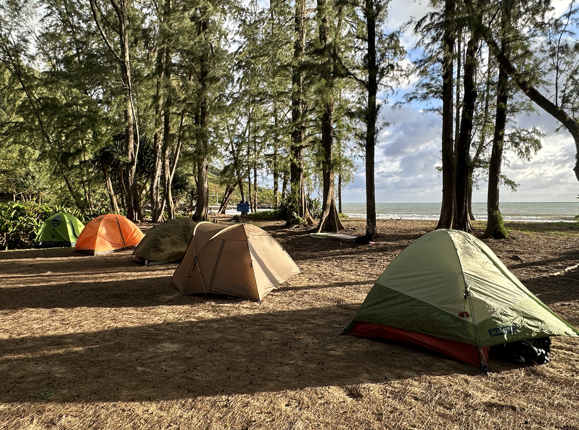 camping tents set up at the beach 