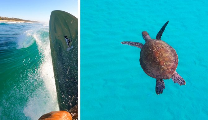 What We Can Learn From Noosa’s ‘Aquatic Garbage Man’ Who Found a $30,000 Rolex