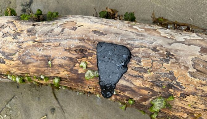 tar balls on Oregon beaches