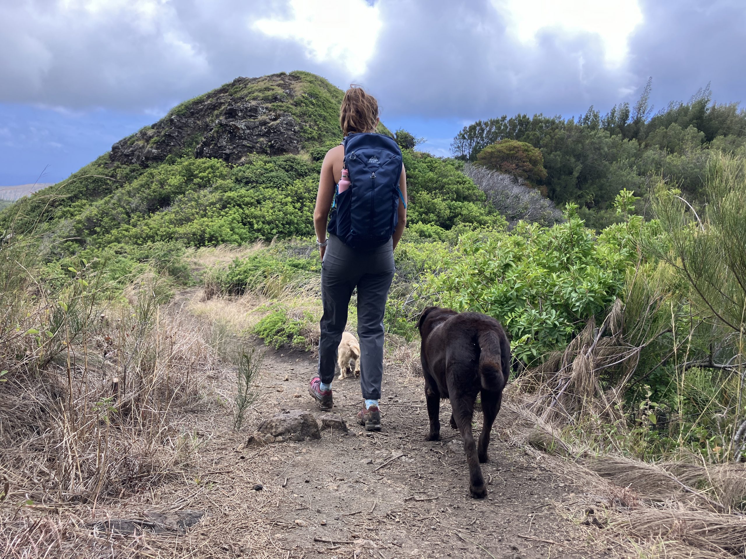 a woman hiking in Hawaii with her dogs