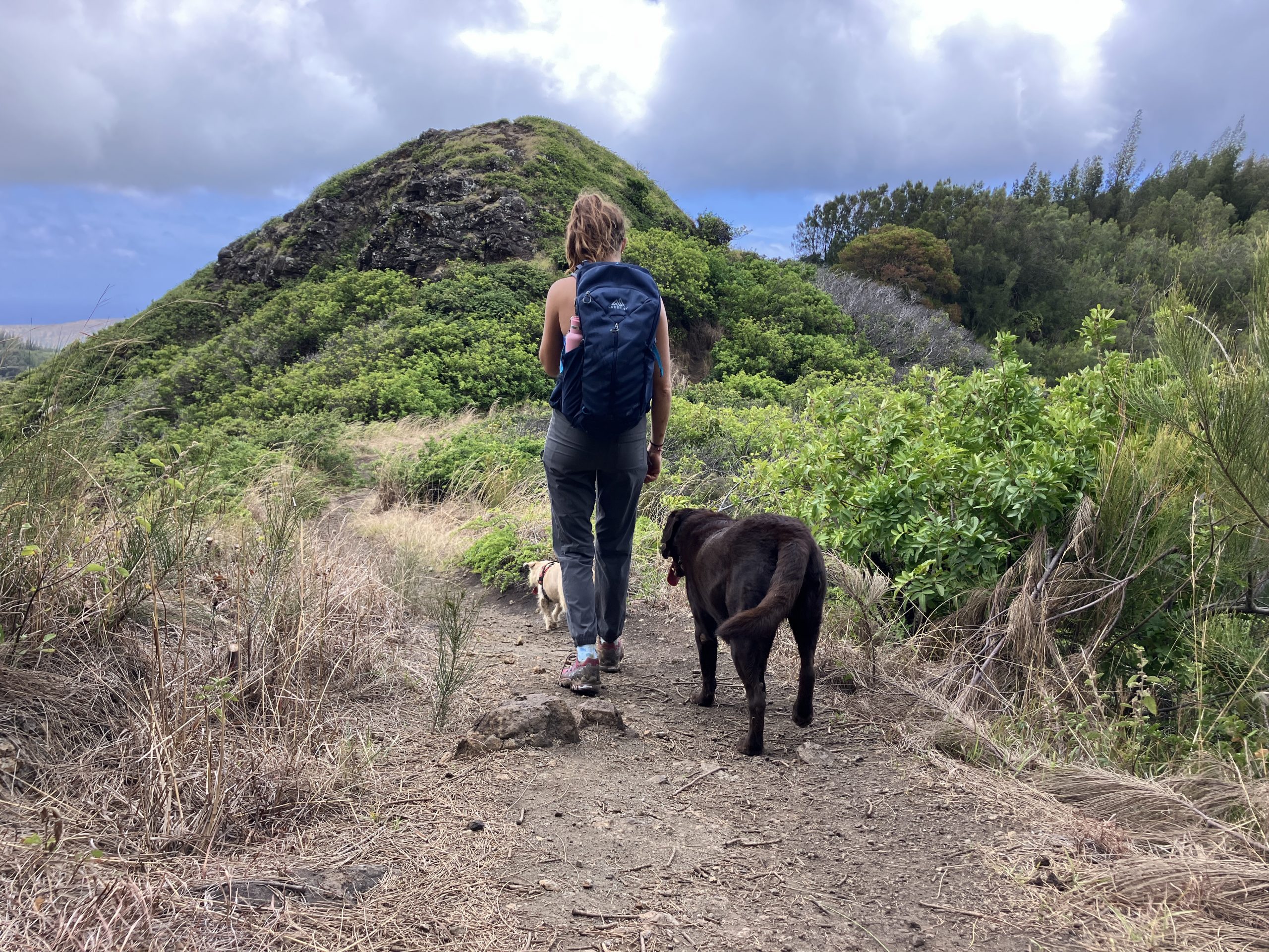 a woman hiking with her dogs