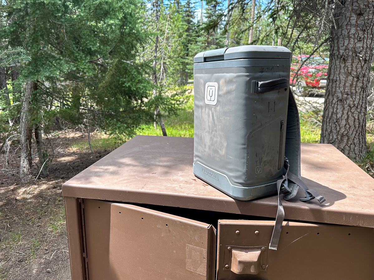 backpack cooler on a bear box