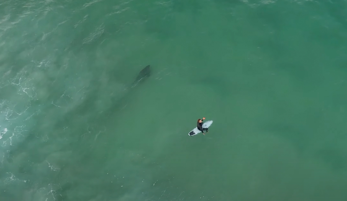 Noah Wallis encounters a shark in the lineup. Photo: Surfing With Noz // YouTube