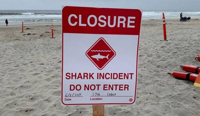 shark attack sign at Del Mar