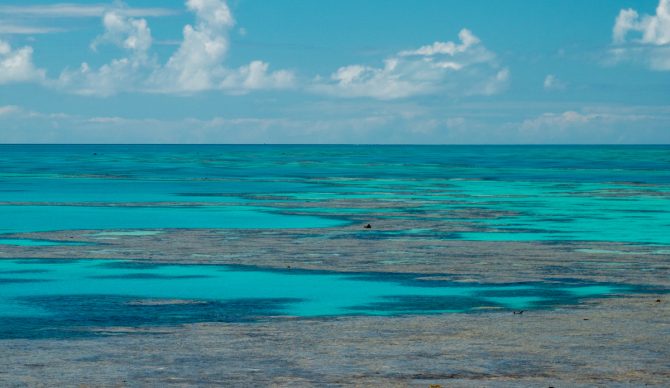 The great barrier reef is one of the worlds largest ecosystems. Photo: Nicolas Weldingh // Unsplash