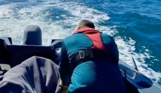 Fisherman hit by whale