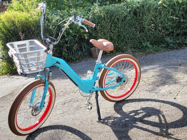 the model R by the Electric Bike Co in a driveway in front of greenery