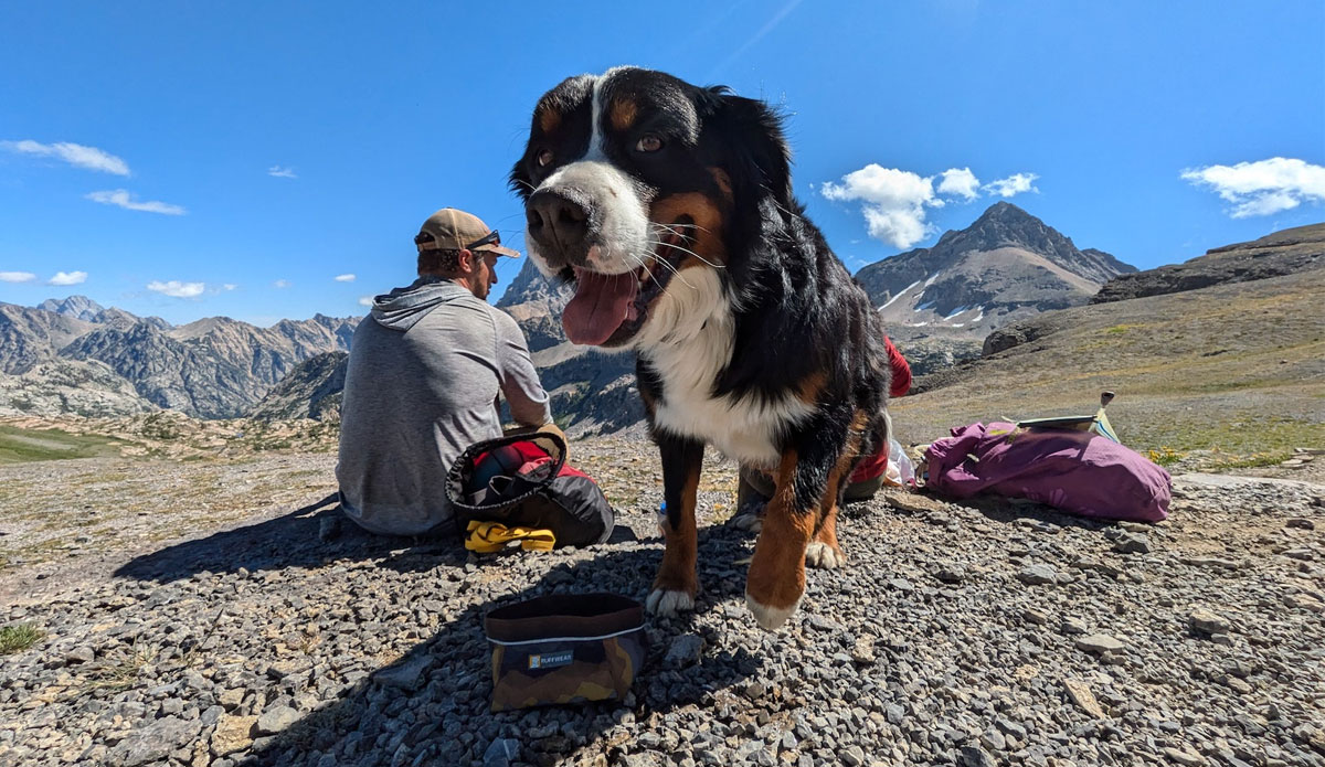 Ruffwear Press Paws