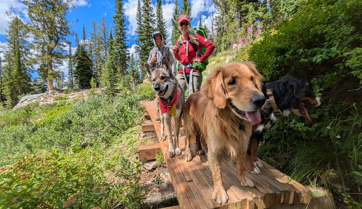 Ruffwear Press Paws